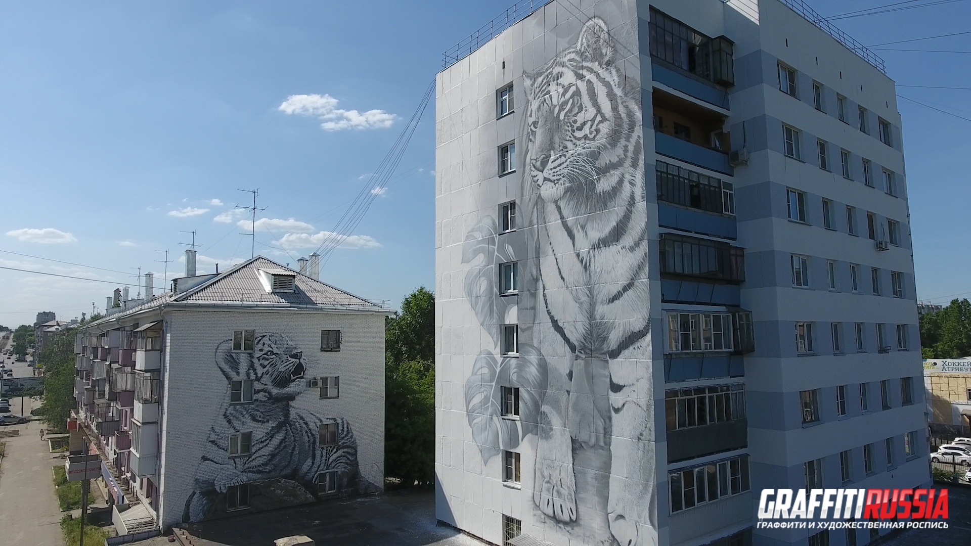 тигренок и тигрица, расписанные стены жилого дома