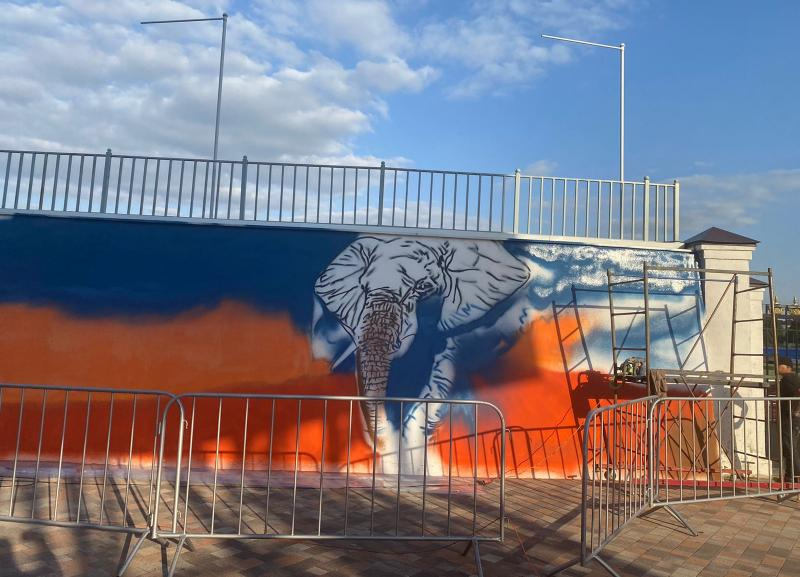 Обновление граффити на стадионе «Динамо» в Ставрополе